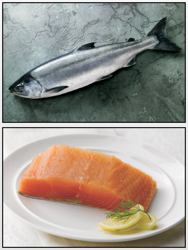 Salmone Keta Alaska Seafood