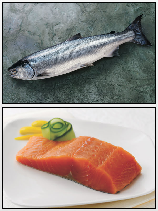 Salmone argentato Alaska Seafood