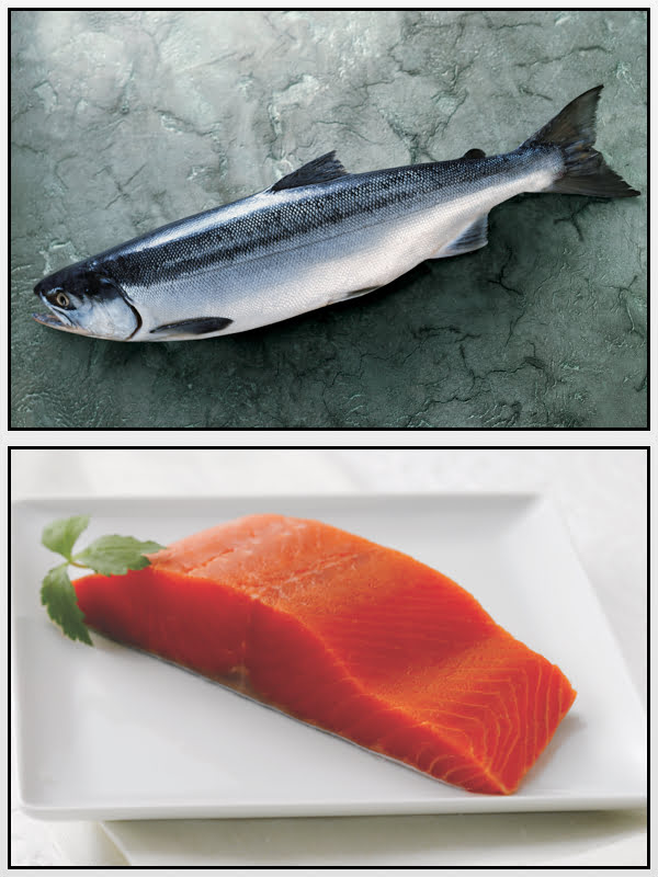 Salmone Rosso Alaska Seafood