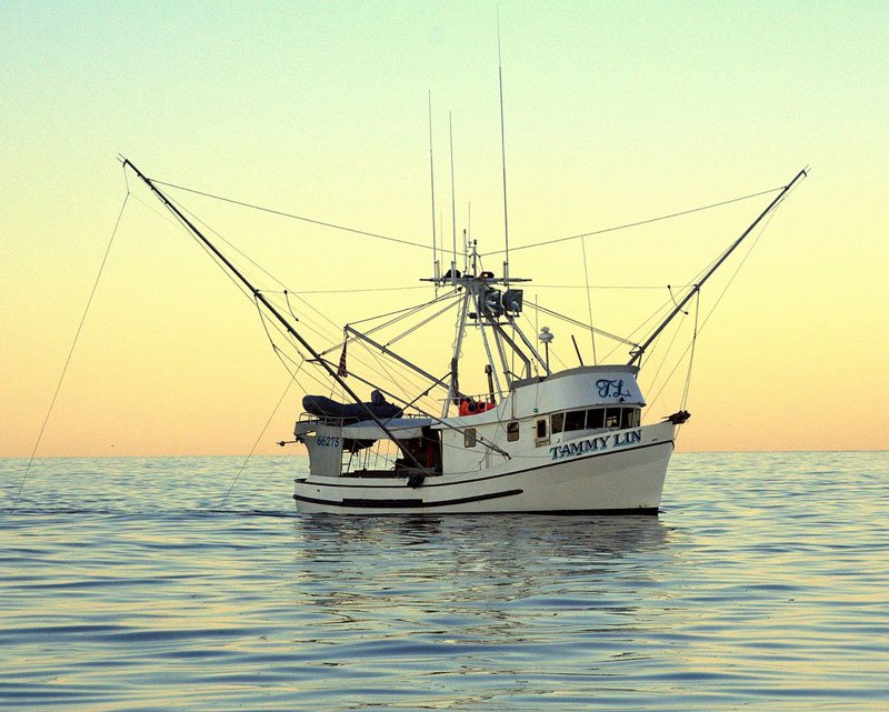 Pesca alla traina Alaska Seafood