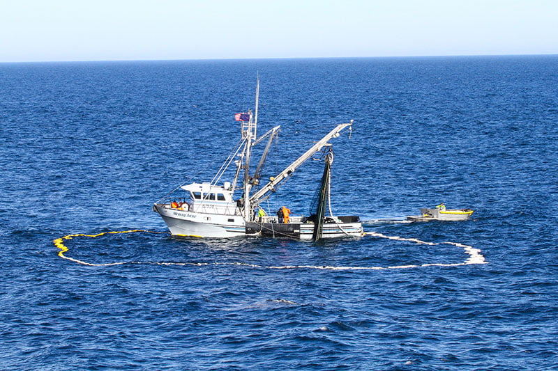 Pesca con rete da circuizione a chiusura Alaska Seafood