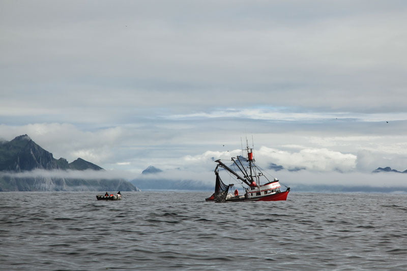 Paesaggio di pesca Alaska Seafood