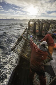 Pesca con la nassa Alaska Seafood