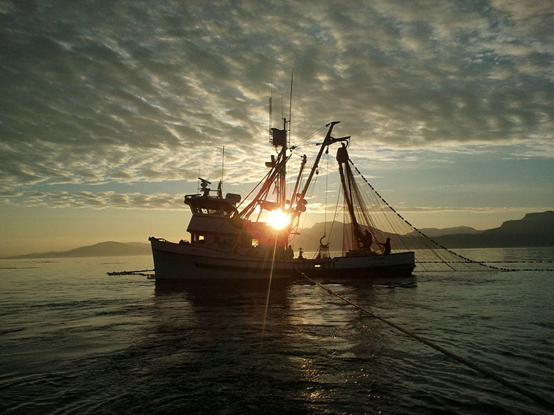 Pesca con rete da circuizione a chiusura, tramonto