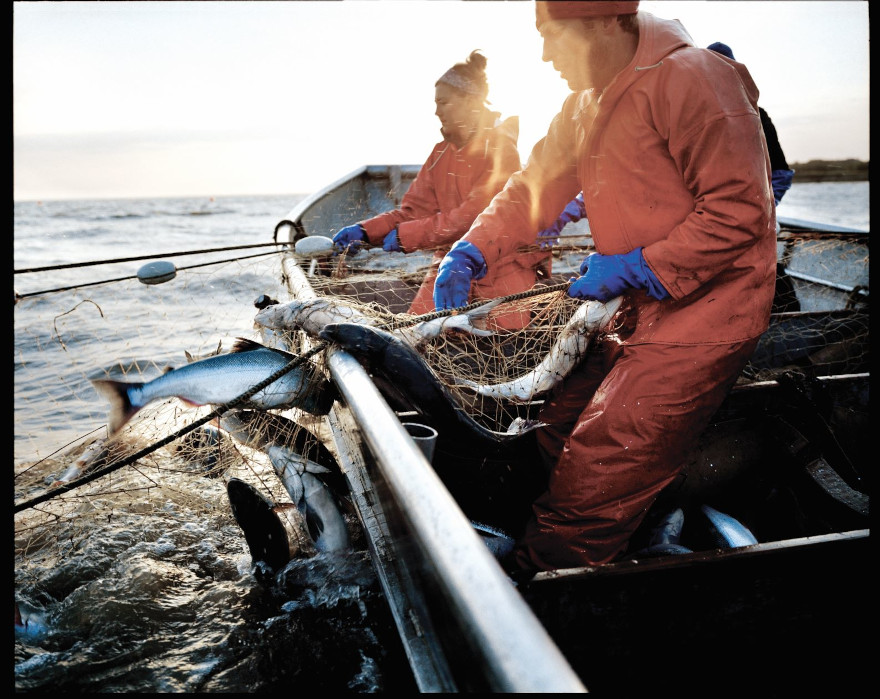 alaska pesca sostenibile al salmone selvaggio