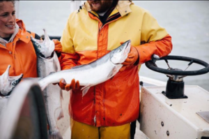 salmone selvaggio alaska pesca