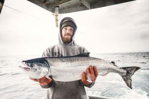 pescatore con salmone selvaggio dell'Alaska King
